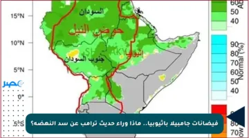 فيضانات جامبيلا بإثيوبيا.. ماذا وراء حديث ترامب عن سد النهضة؟